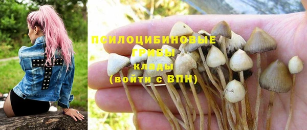 амф Нефтегорск